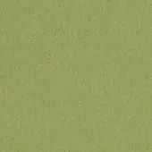 Olive-green fabric sample with a dense, granular texture; Bross “focus” collection, color 68250, matte finish, studio lighting.
